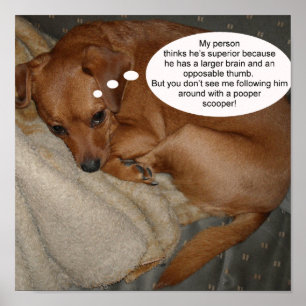 My person thinks he’s superior because poster