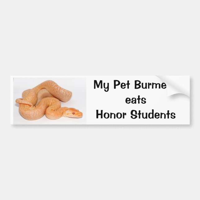 My Pet Burmese Eats Honour Students Bumper Sticker (Front)