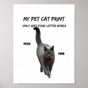 My Pet Cat Print Funny Cat T-Shirt 4 Letter Words