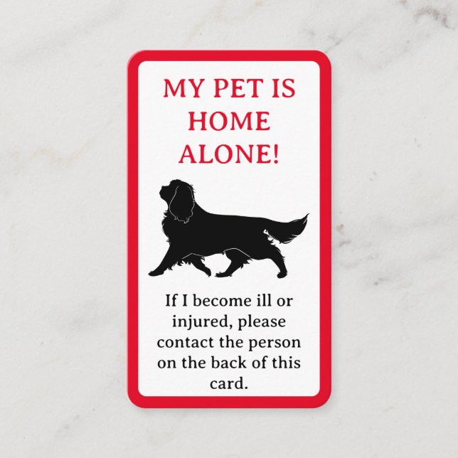 My Pet, Dog is Home Alone Card  (Front)