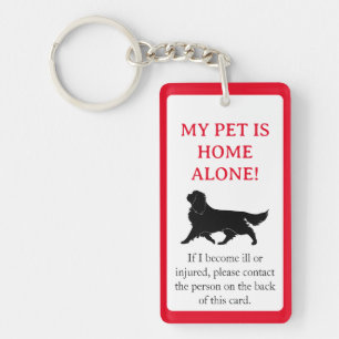 My Pet, Dog is Home Alone Card Keychain