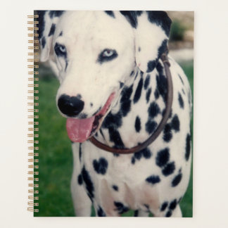 My Pet Friend Bestie Dalmatian Dog Custom   Planner