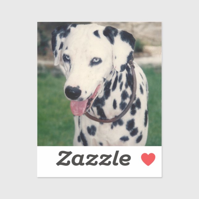 My Pet Friend Custom Photo (Sheet)