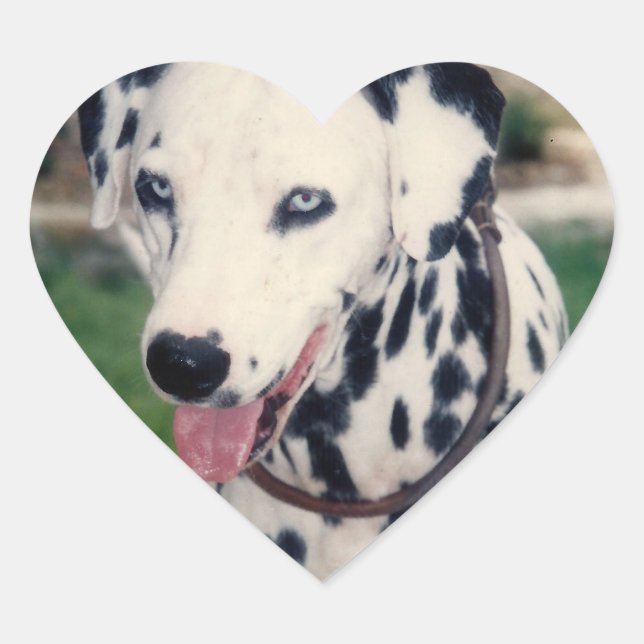 My Pet Friend Custom Photo Heart Sticker (Front)