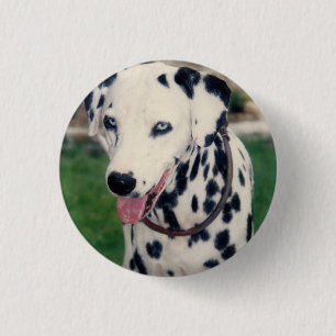 My Pet Friend Upload Your Own Photo Custom  3 Cm Round Badge