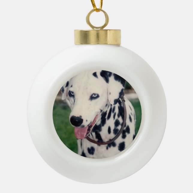 My Pet Friend Upload Your Own Photo Custom  Ceramic Ball Christmas Ornament (Front)