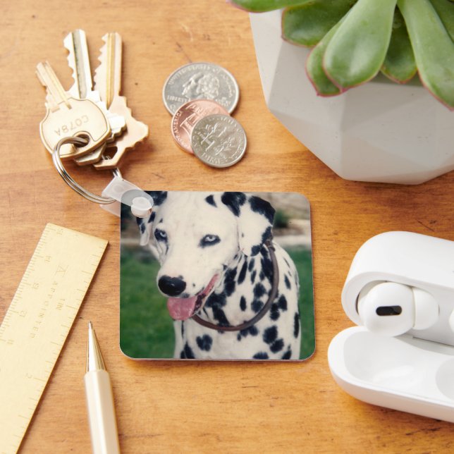 My Pet Friend Upload Your Own Photo Custom  Key Ring (Desk)