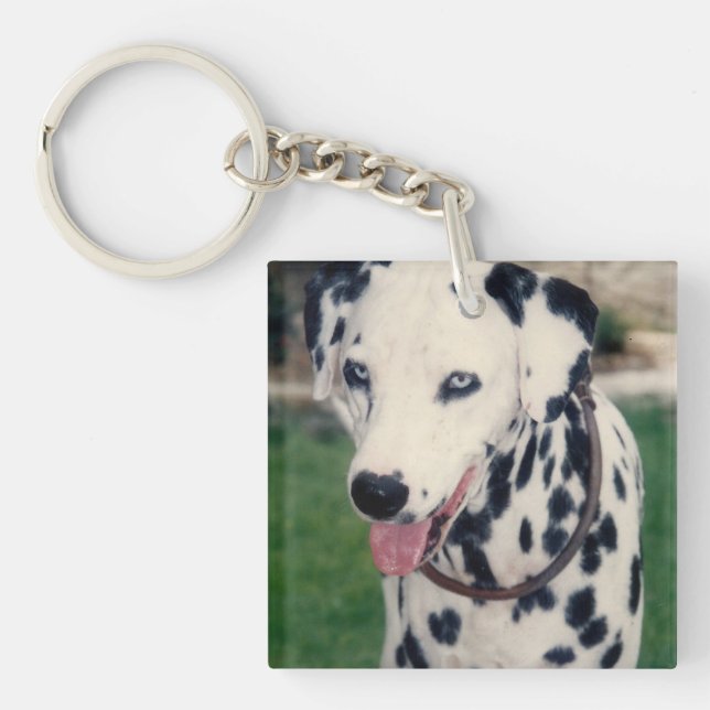 My Pet Friend Upload Your Own Photo Custom  Key Ring (Front)