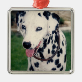 My Pet Friend Upload Your Own Photo Custom  Metal Tree Decoration