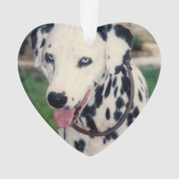 My Pet Friend Upload Your Own Photo Custom  Ornament