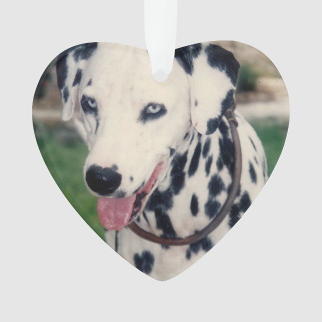 My Pet Friend Upload Your Own Photo Custom  Ornament (Front)