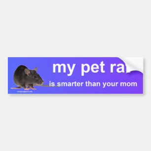 my pet rat bumper sticker