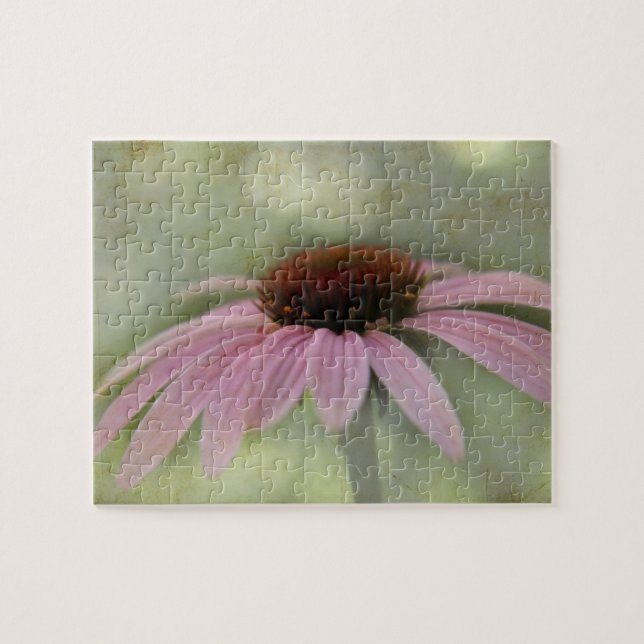 My pink Coneflower... "Echinacea purpurea" Jigsaw Puzzle (Horizontal)