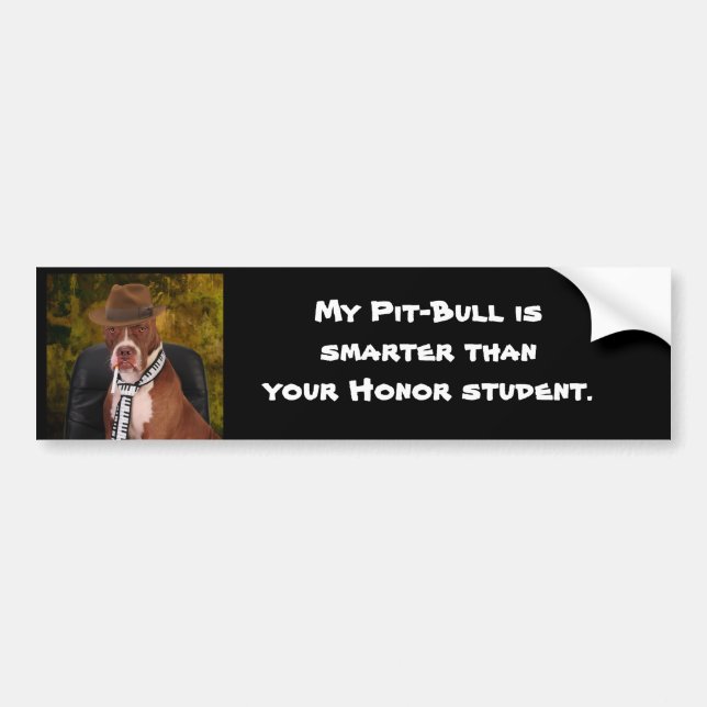 My Pit-Bull is smarter ... Bumper Sticker (Front)