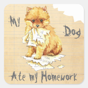 My Pomeranian Ate My Homework Square Sticker