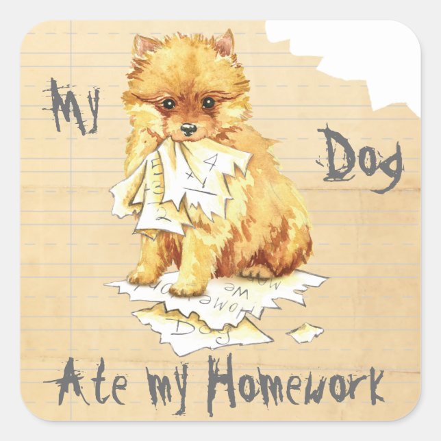 My Pomeranian Ate My Homework Square Sticker (Front)