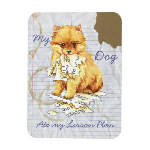 My Pomeranian Ate My Lesson Plan Magnet