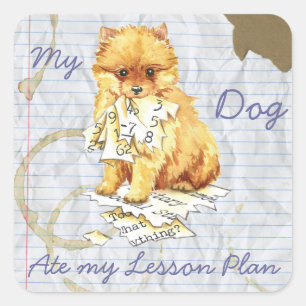 My Pomeranian Ate My Lesson Plan Square Sticker
