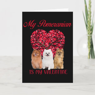 My Pomeranian Is My Valentine Dog Lover Valentines Card