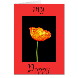 My Poppy