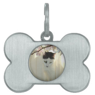 My Pretty White and Black Kitty Cat Pet Tag