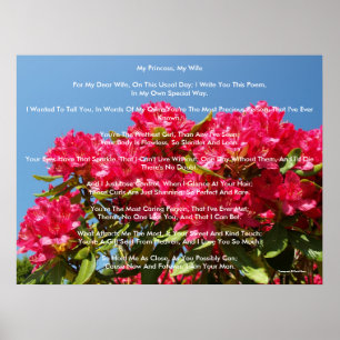 My Princess, My Wife Poster