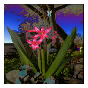 My Psychedelic Yard... Poster