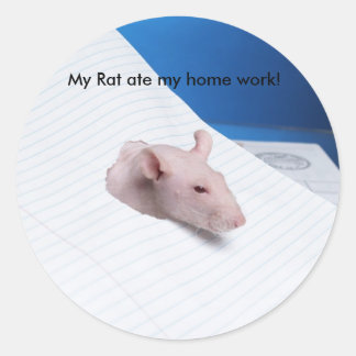 My Rat ate my home work! Classic Round Sticker