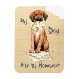 My Redbone Ate My Homework Magnet