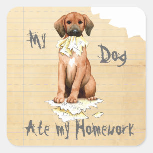 My Redbone Ate My Homework Square Sticker