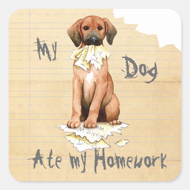 My Redbone Ate My Homework Square Sticker (Front)