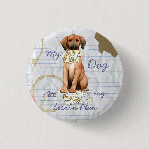 My Redbone Ate My Lesson Plan 3 Cm Round Badge