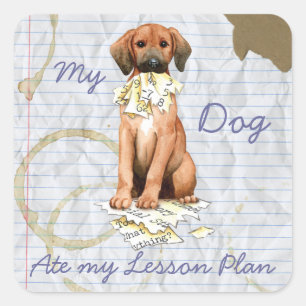 My Redbone Ate My Lesson Plan Square Sticker