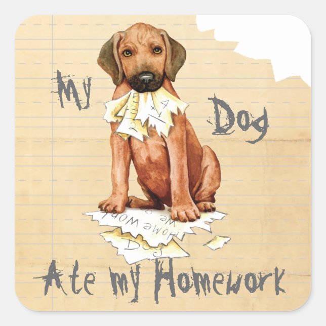 My Rhodesian Ridgeback Ate Homework Square Sticker (Front)