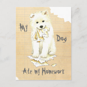 My Samoyed Ate my Homework Postcard