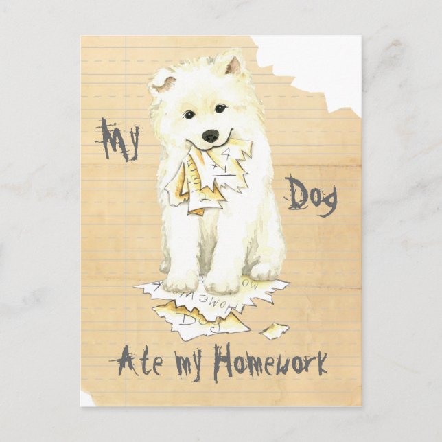 My Samoyed Ate my Homework Postcard (Front)