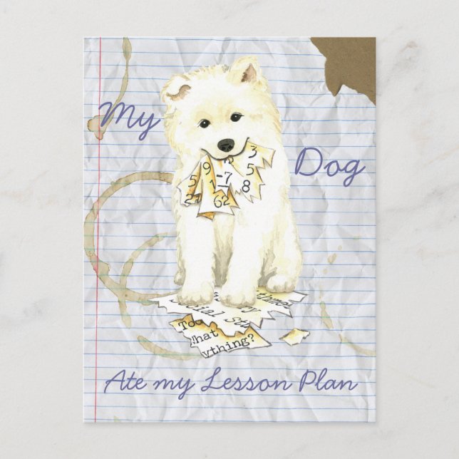 My Samoyed Ate my Lesson Plan Postcard (Front)