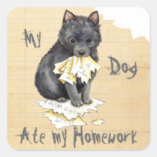 My Schipperke Ate My Homework Square Sticker