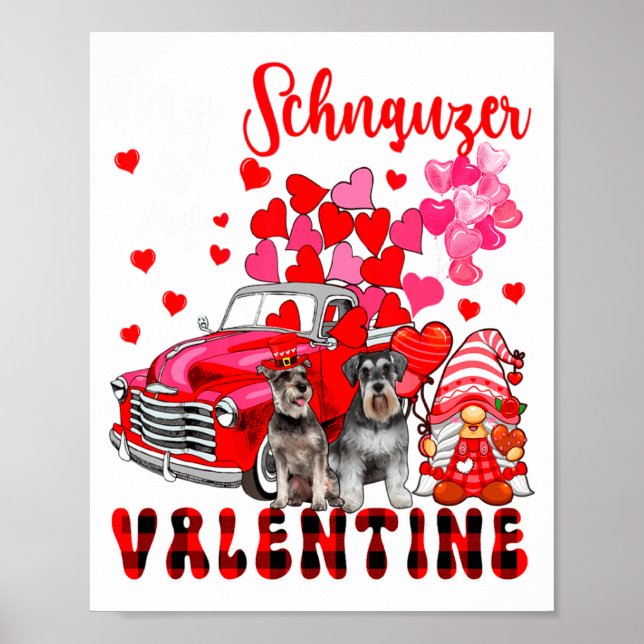 My Schnauzer Is My Valentine Two Dogs With Gnome P Poster (Front)