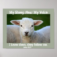 My Sheep Hear My Voice, Bible Verse John 10:27,
