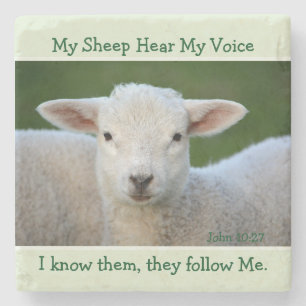 My Sheep Hear My Voice, Bible Verse John 10:27, Stone Coaster