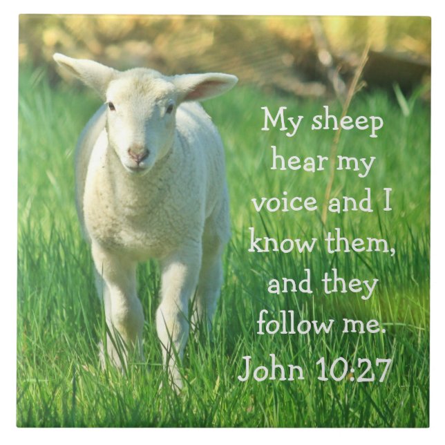 My Sheep Hear My Voice, Bible Verse John 10:27 Tile (Front)