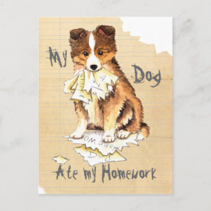 My Sheltie Ate my Homework Postcard