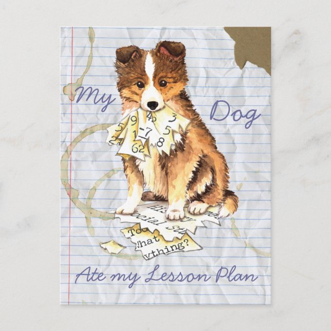 My Sheltie Ate my Lesson Plan Postcard (Front)