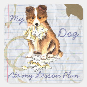 My Sheltie Ate my Lesson Plan Square Sticker