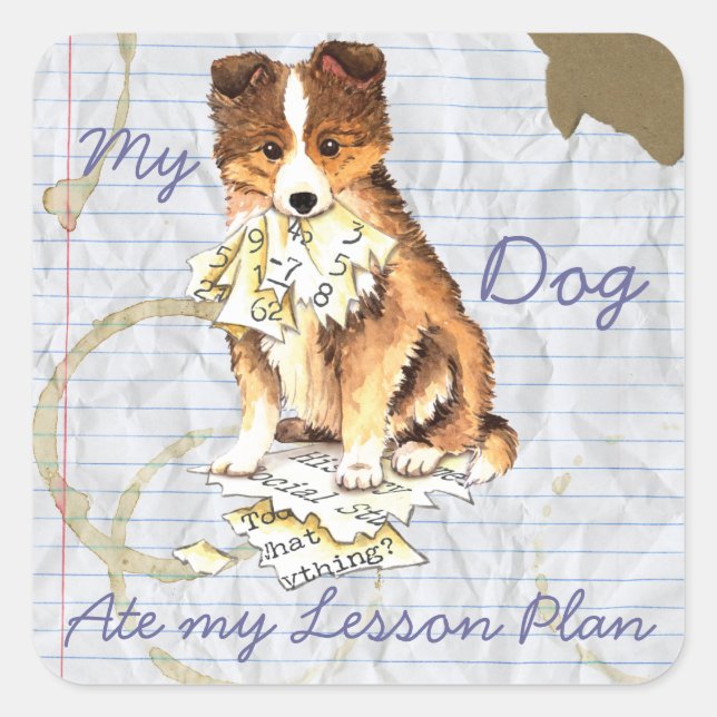 My Sheltie Ate my Lesson Plan Square Sticker (Front)