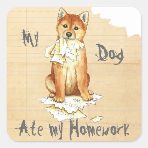 My Shiba Inu Ate My Homework Square Sticker