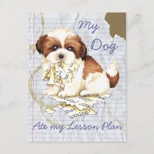 My Shih Tzu Ate my Lesson Plan Postcard
