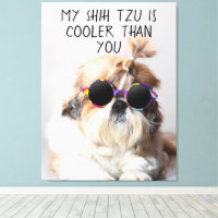 My Shih Tzu Is Cooler Than You Sunglasses Photo