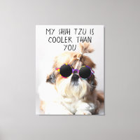 My Shih Tzu Is Cooler Than You Sunglasses Photo